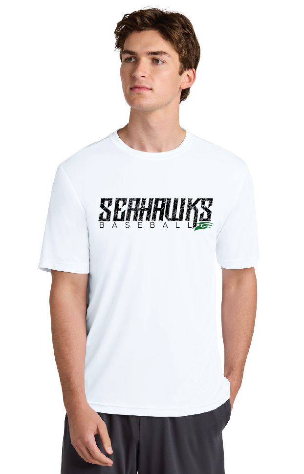 Seahawks Baseball Distressed