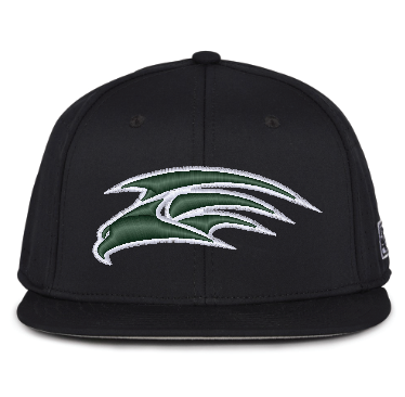 Seahawk The Game Fitted Hat GB998